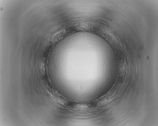 X0000089420749200706291032