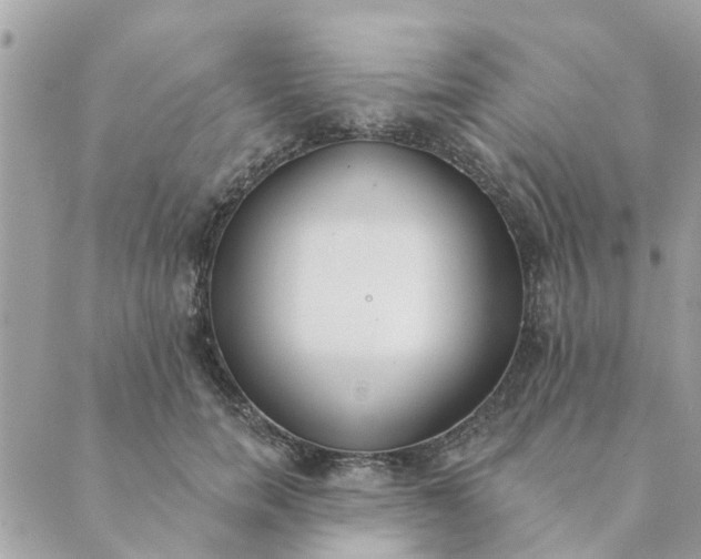 X0000089420750200706291032