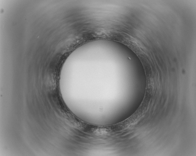 X0000089420751200706291032