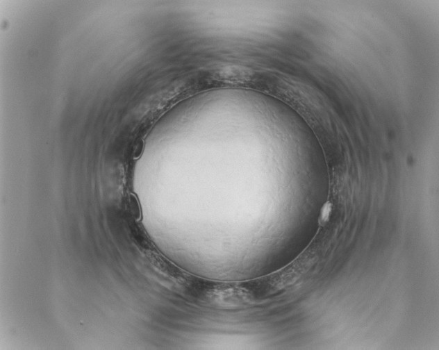 X0000089420752200706291032