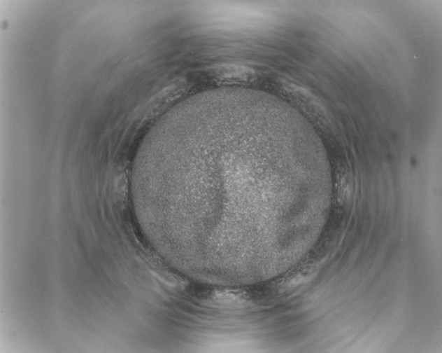 X0000089420753200706291032