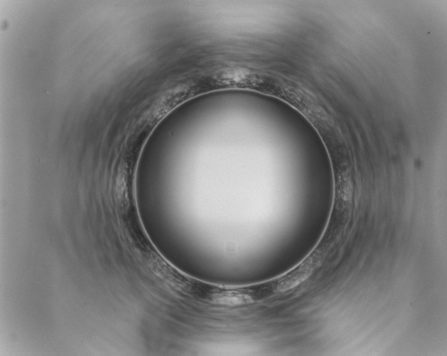 X0000089420754200706291032