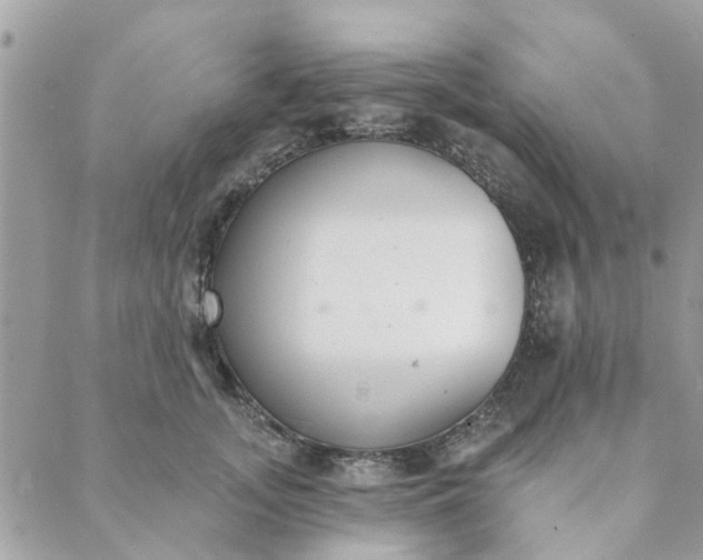 X0000089420755200706291032