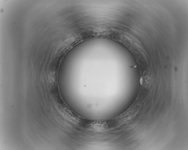 X0000089420756200706291032