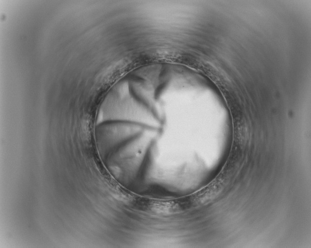 X0000089420757200706291032