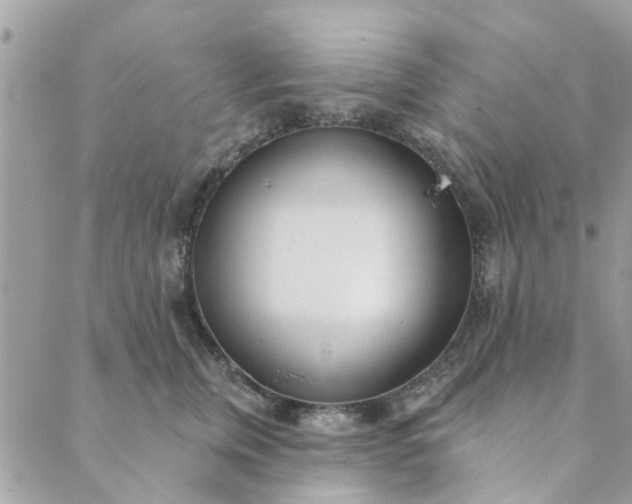 X0000089420759200706291032