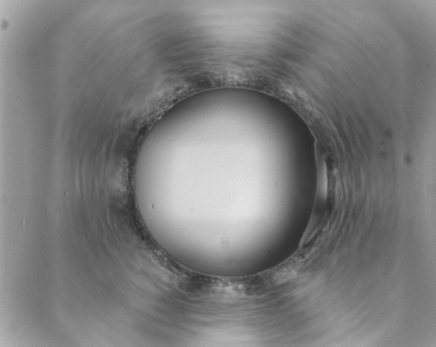 X0000089420760200706291033