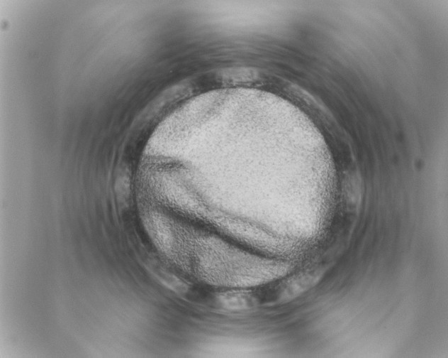 X0000089420761200706291033