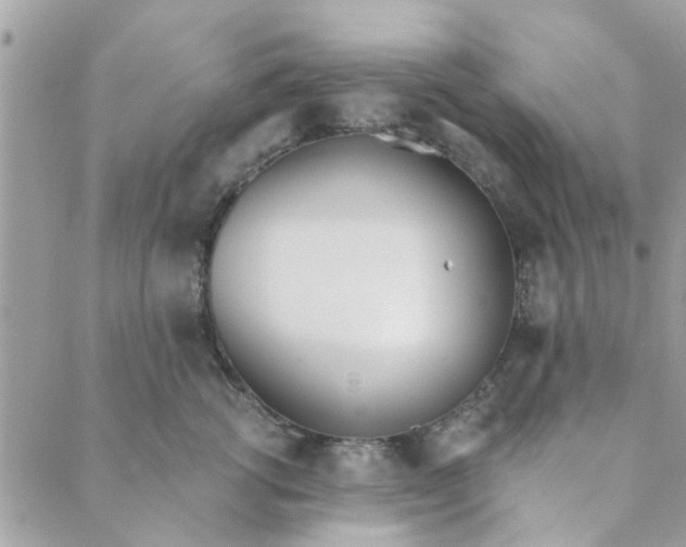 X0000089420762200706291033