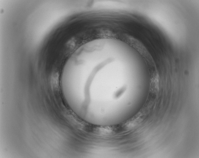 X0000089420765200706291033