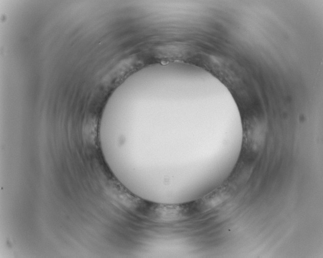 X0000089420767200706291033