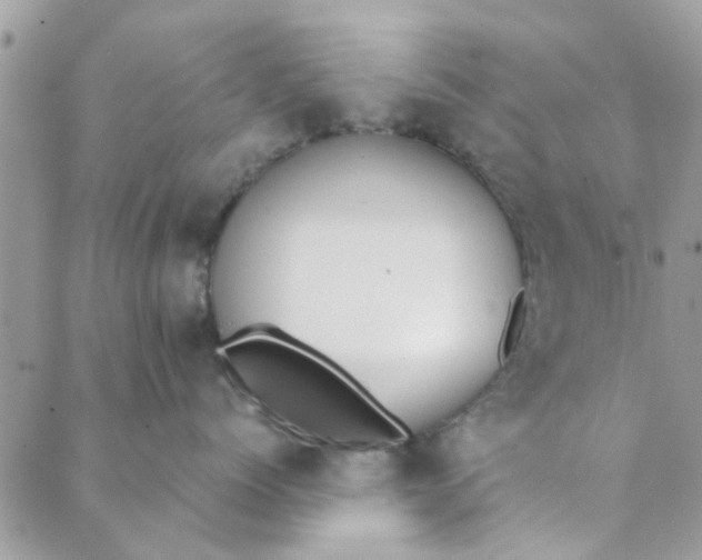 X0000089420768200706291033