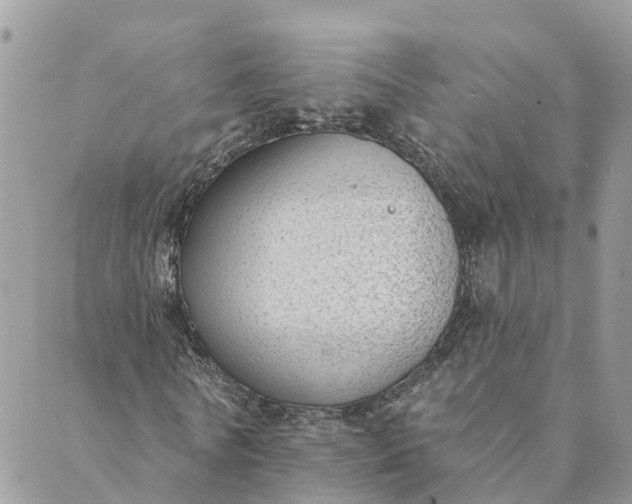 X0000089420770200706291032