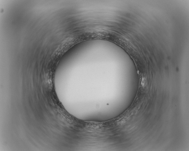 X0000089420771200706291032