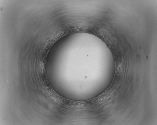 X0000089420772200706291032