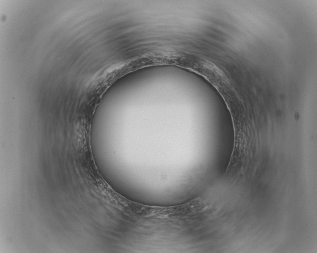 X0000089420773200706291032