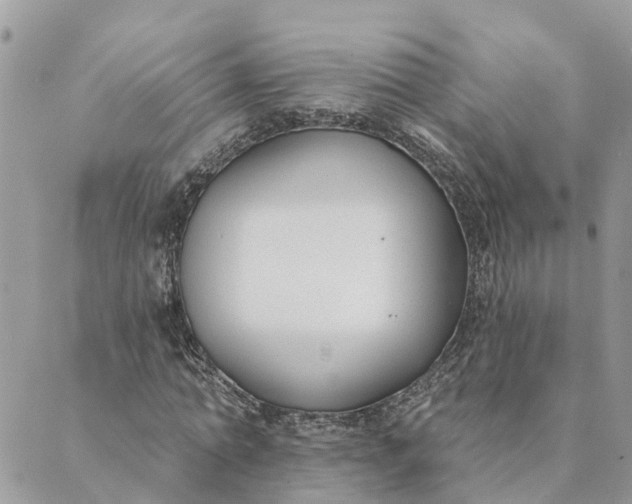 X0000089420774200706291032