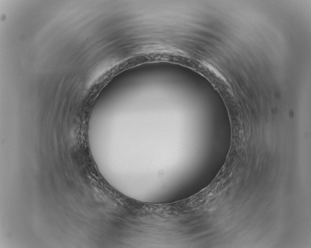 X0000089420775200706291032