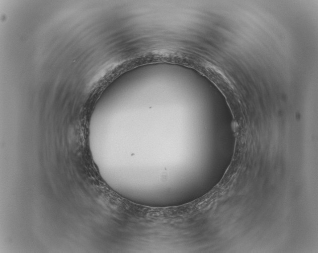 X0000089420776200706291032