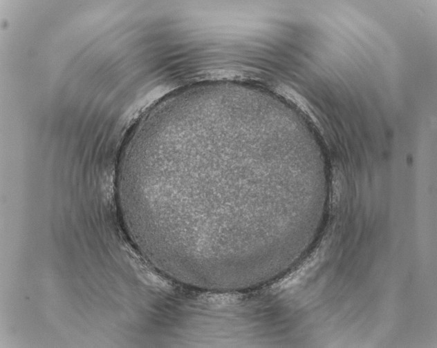 X0000089420778200706291032