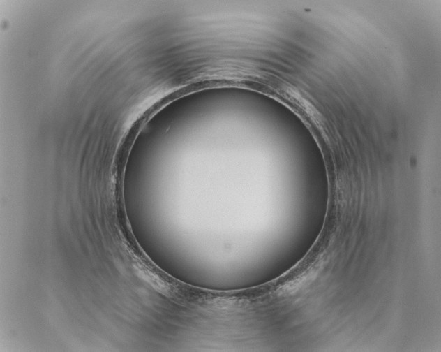 X0000089420779200706291032