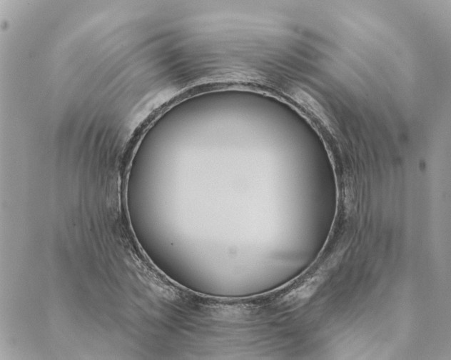 X0000089420781200706291032