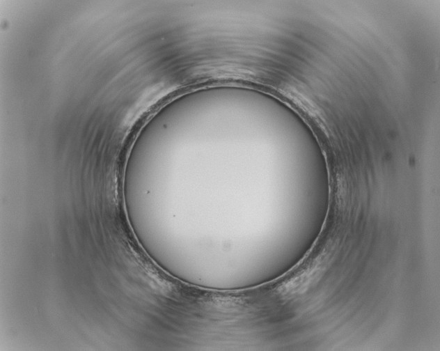 X0000089420782200706291032