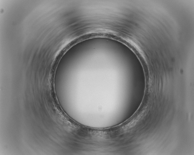 X0000089420783200706291032