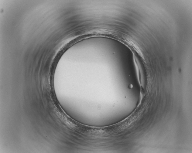 X0000089420784200706291032