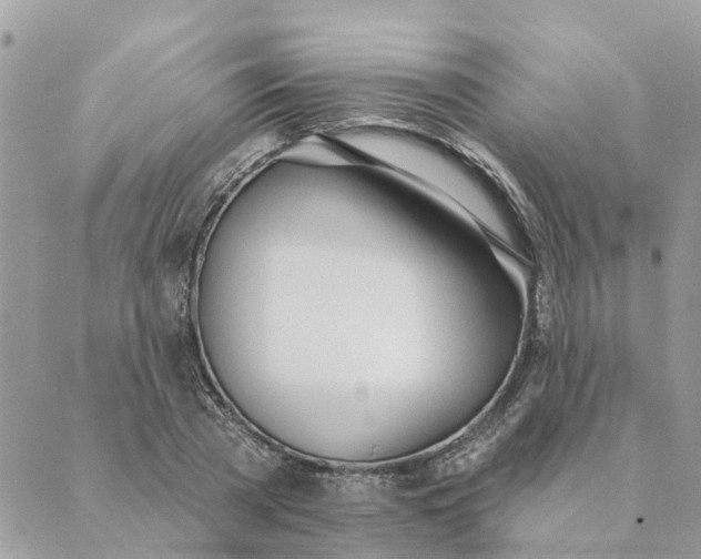 X0000089420785200706291032