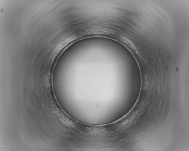 X0000089420786200706291032