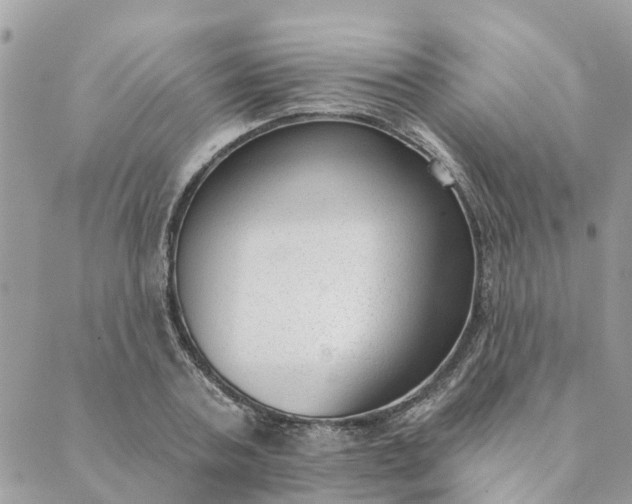 X0000089420787200706291032