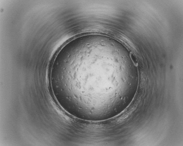 X0000089420788200706291032