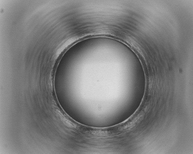 X0000089420789200706291032