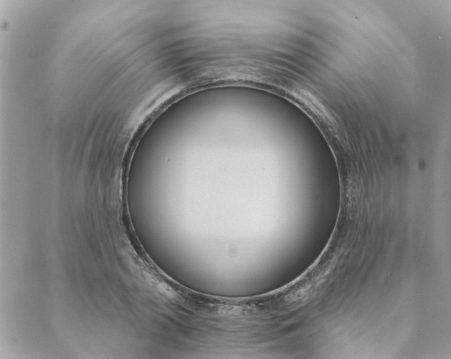 X0000089420790200706291032