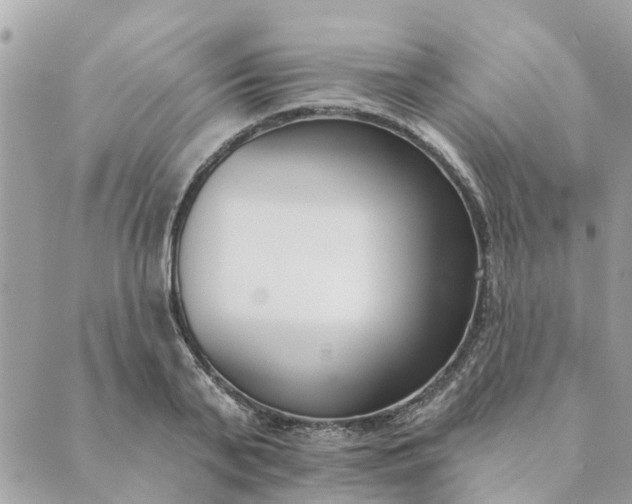 X0000089420791200706291032