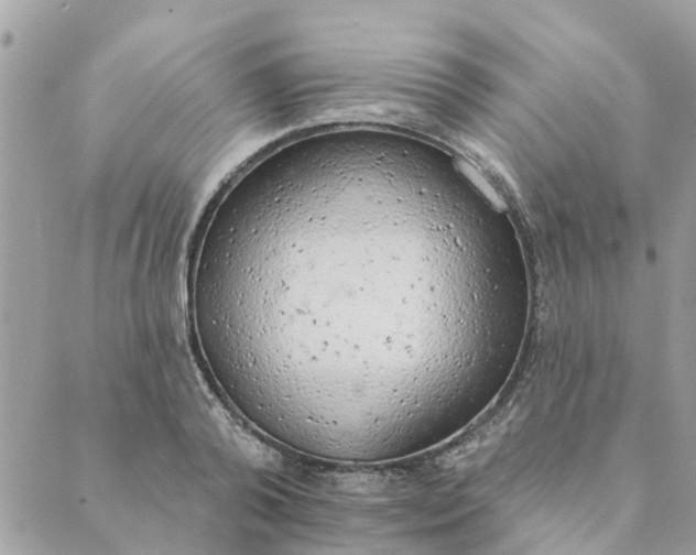 X0000089420792200706291031