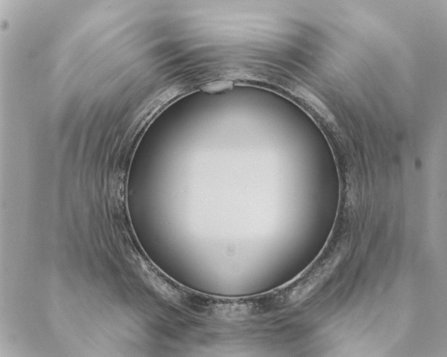 X0000089420793200706291031