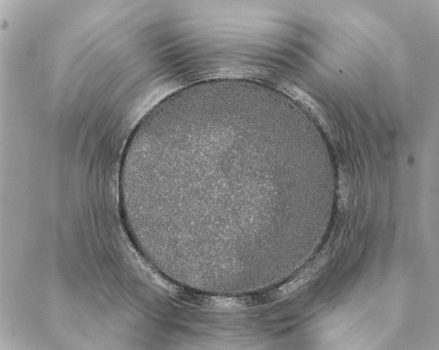 X0000089420794200706291031