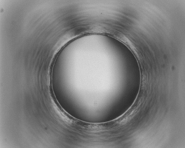 X0000089420795200706291031