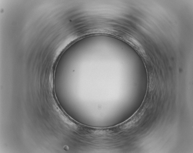 X0000089420796200706291031