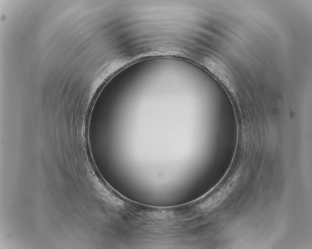 X0000089420797200706291031