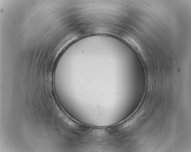 X0000089420798200706291031