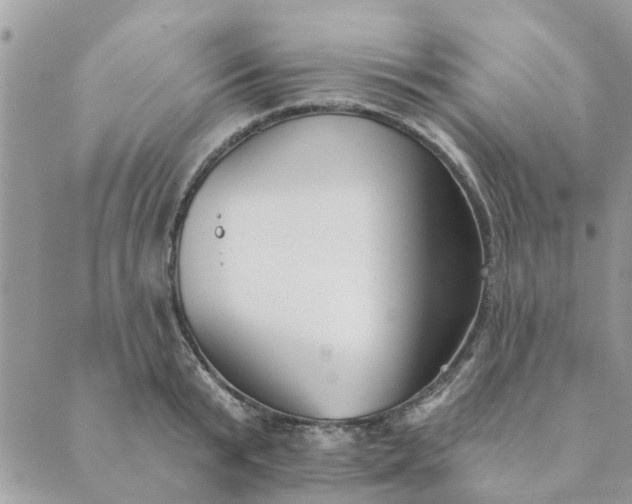 X0000089420799200706291031