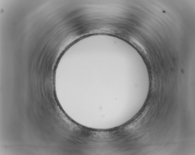 X0000089420800200706291031