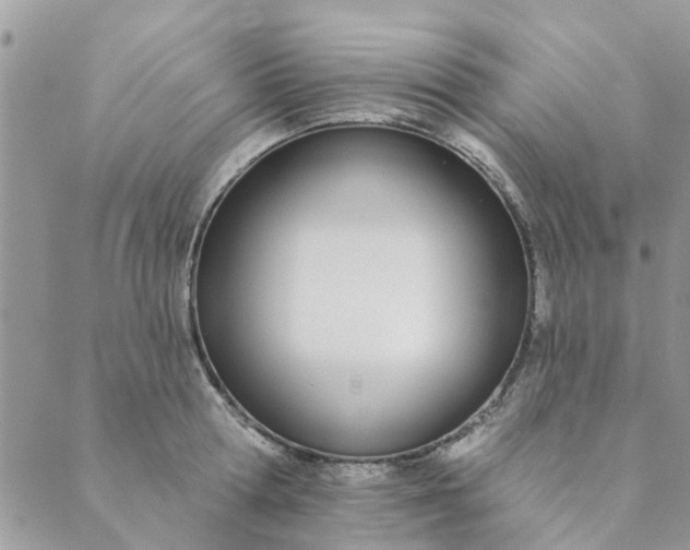 X0000089420802200706291031