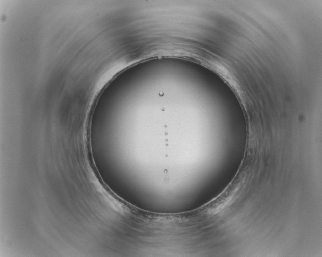 X0000089420803200706291031