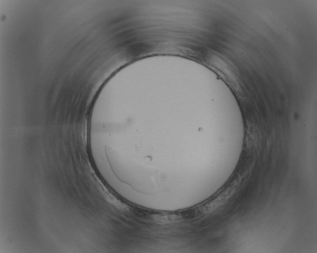 X0000089420804200706291031