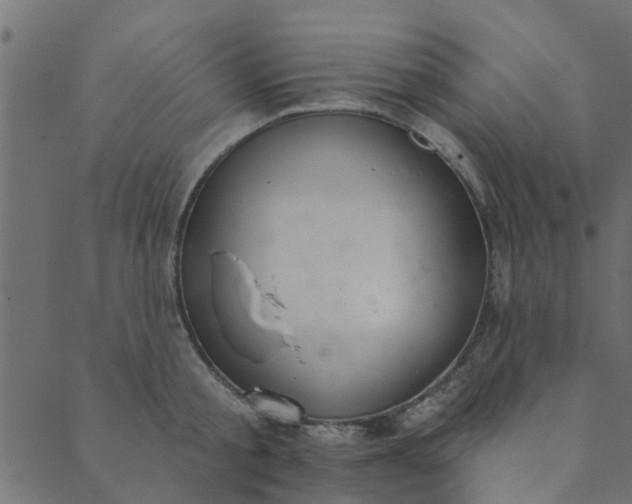 X0000089420805200706291031