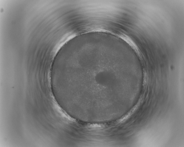 X0000089420806200706291031